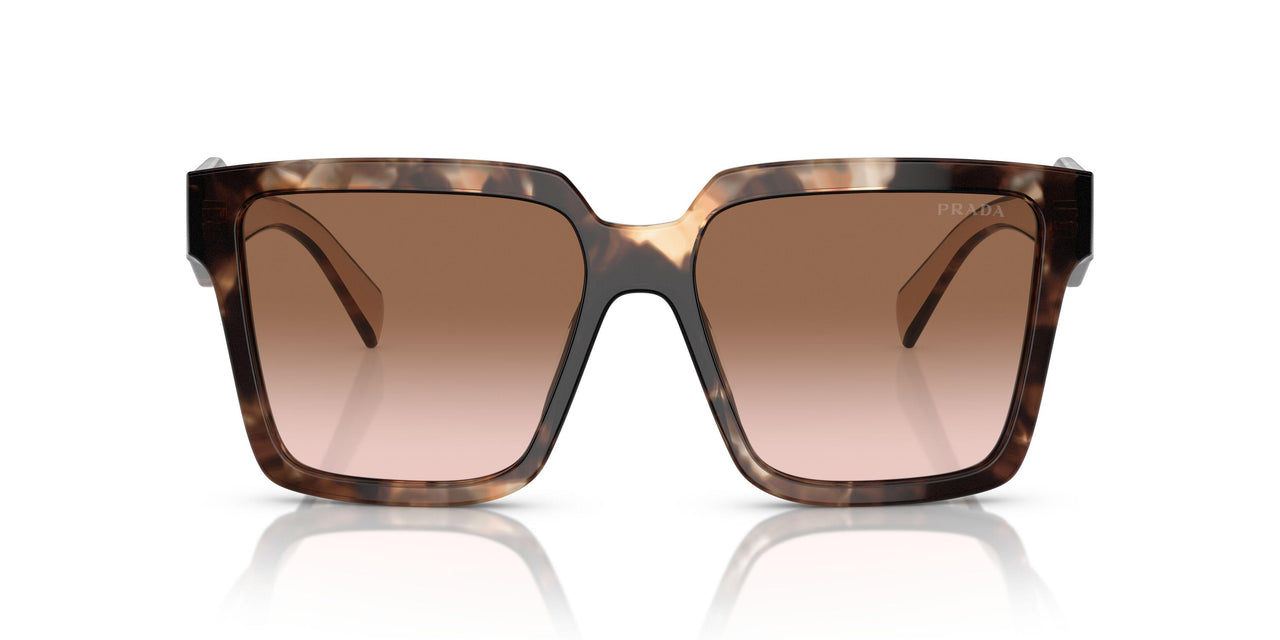 07R0A6 - Tortoise - Brown Gradient