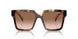 07R0A6 - Tortoise - Brown Gradient