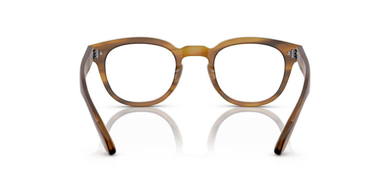 1579 - Brown
