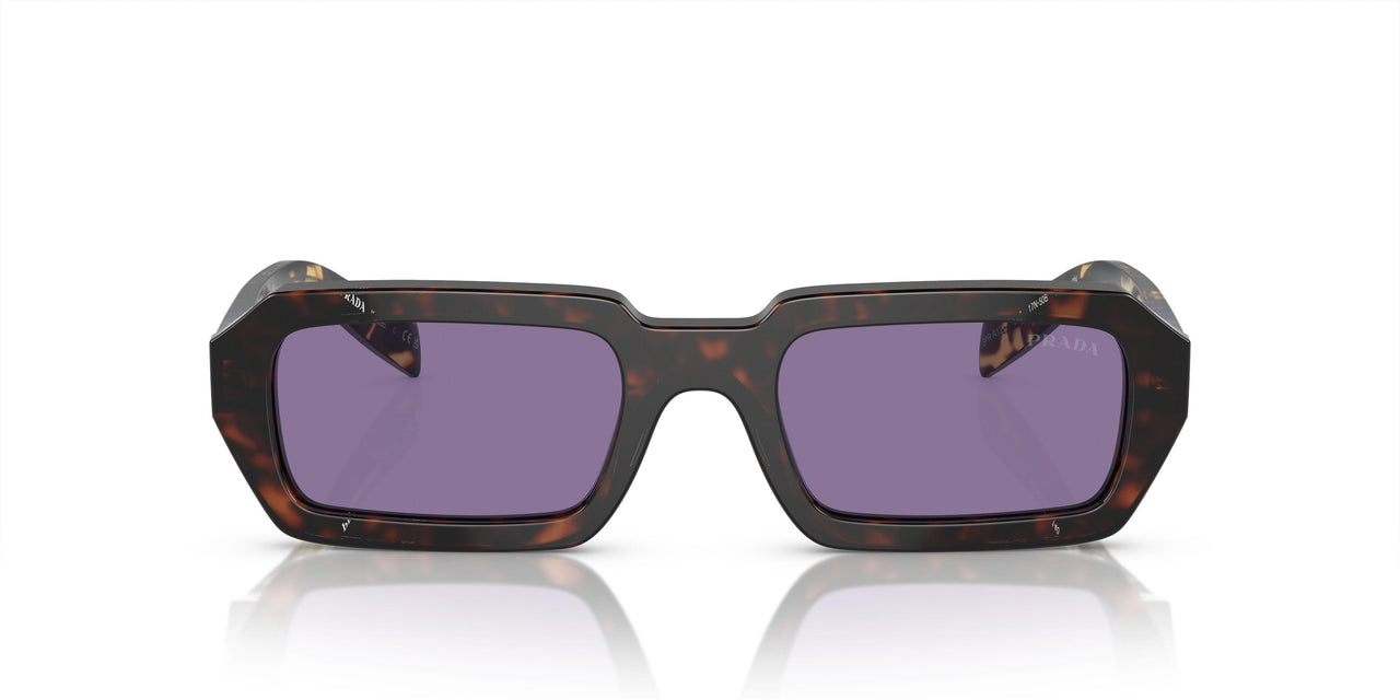 17N50B - Tortoise - Violet Mirror Silver Internal