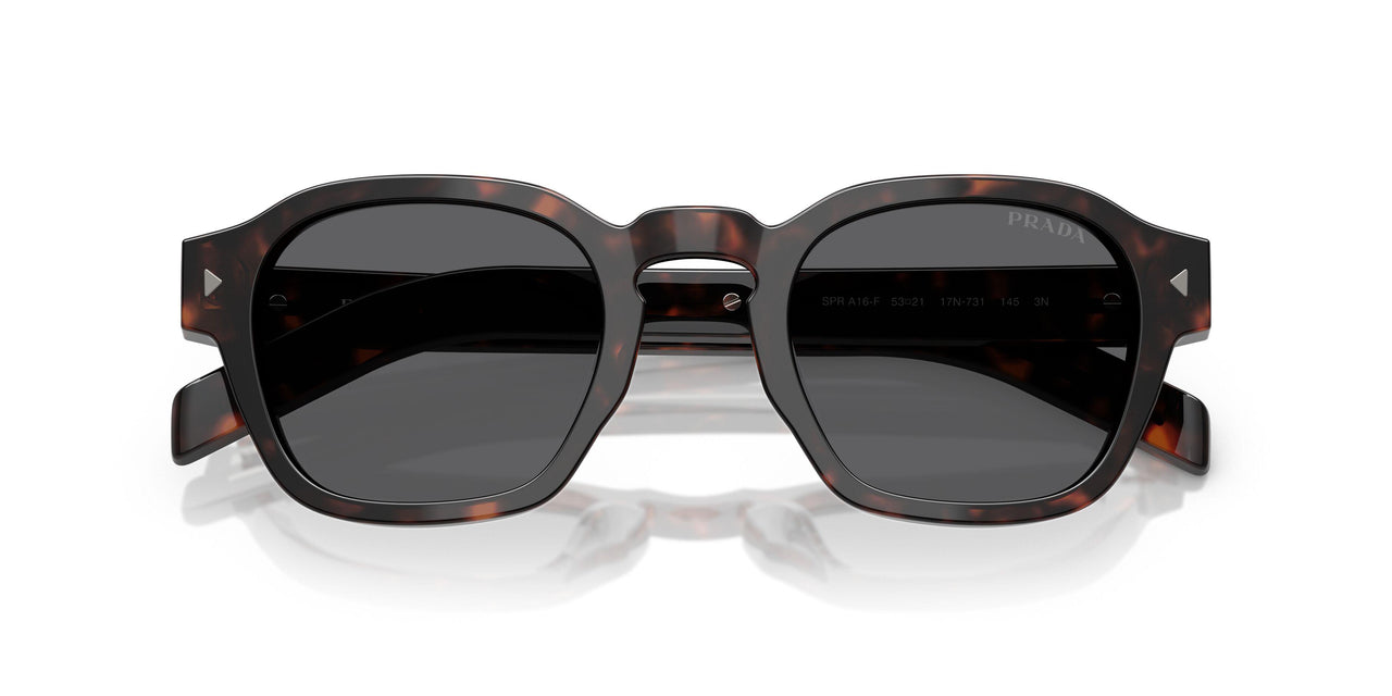 17N731 - Tortoise - Dark Grey