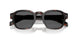 17N731 - Tortoise - Dark Grey