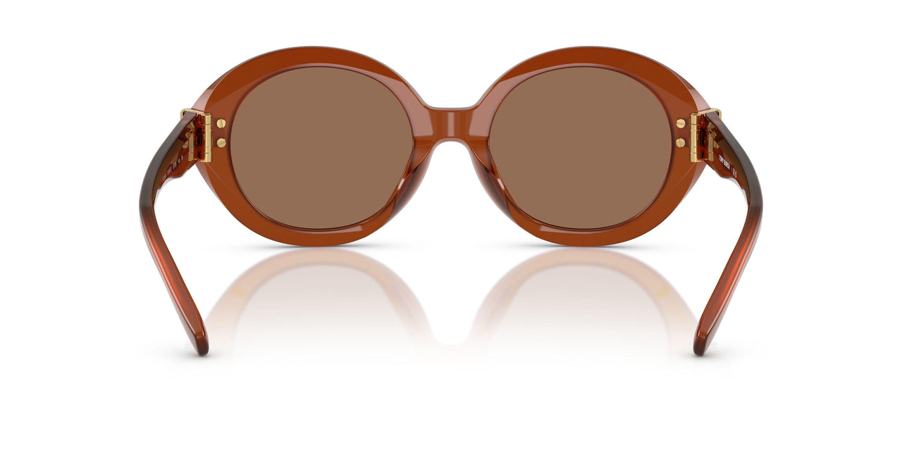 317673 - Brown - Brown