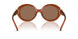 317673 - Brown - Brown