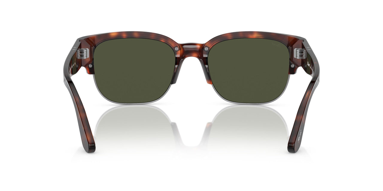 24/31 - Tortoise - Green