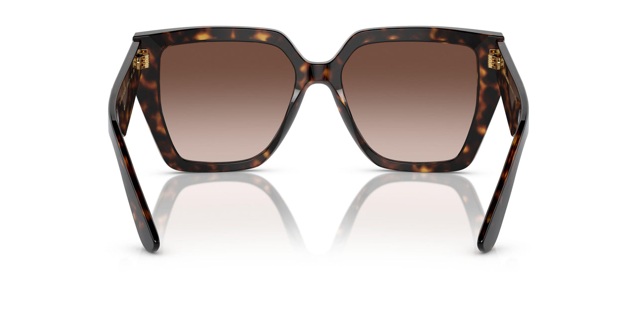 502/13 - Tortoise - Gradient Brown