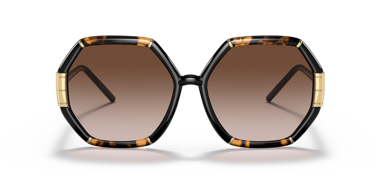 189613 - Havana - Brown Gradient