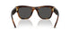 100287 - Tortoise - Dark Grey