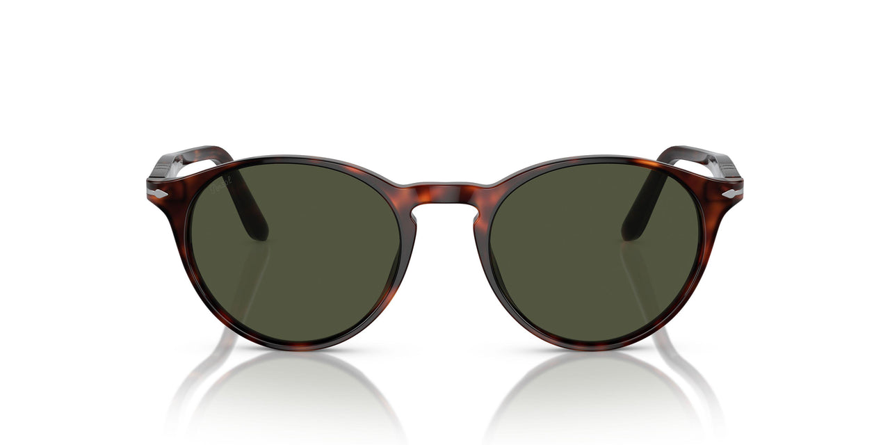 901531 - Tortoise - Green