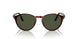 901531 - Tortoise - Green