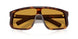 15W50P - Tortoise - Dark Honey