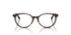 5002 - Tortoise