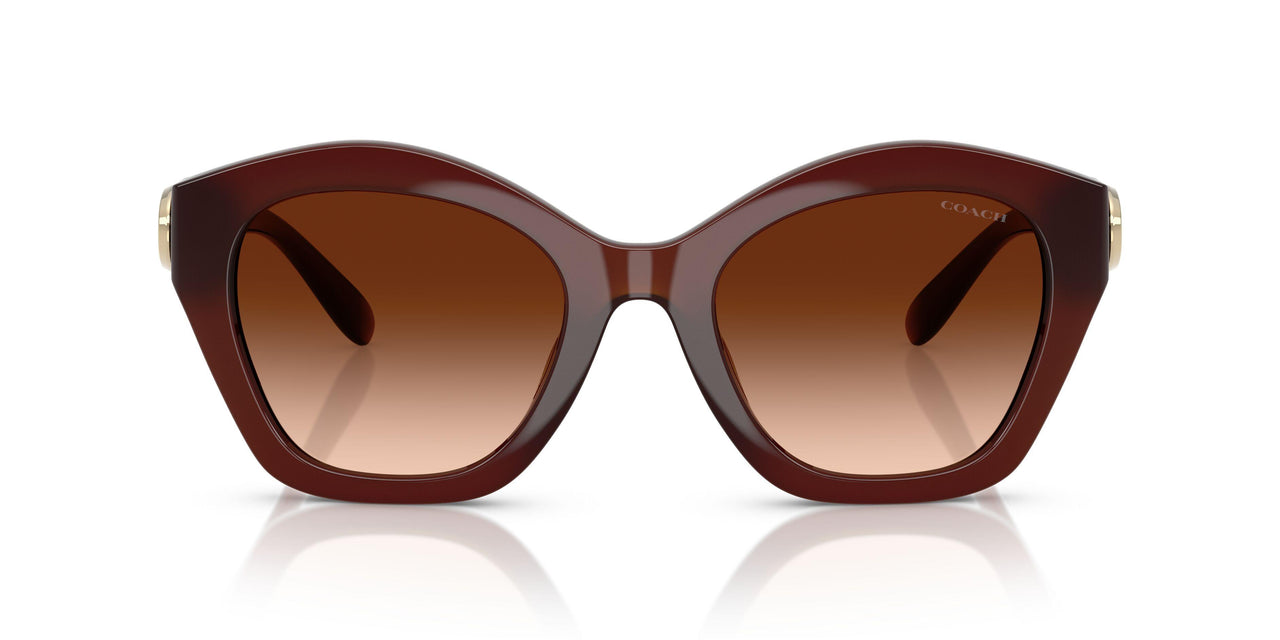 584174 - Brown - Brown Gradient