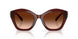 584174 - Brown - Brown Gradient