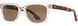 1 - Champagne Tortoise - Cosmetan Brown