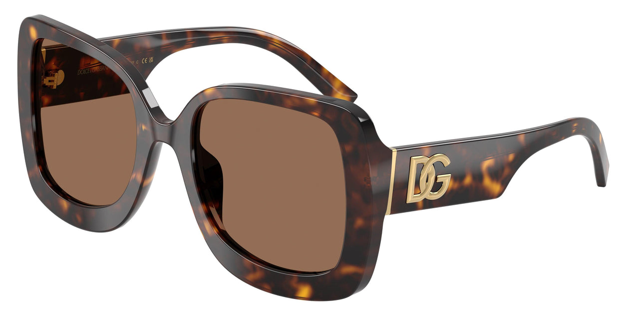 Dolce & Gabbana 4513 Sunglasses