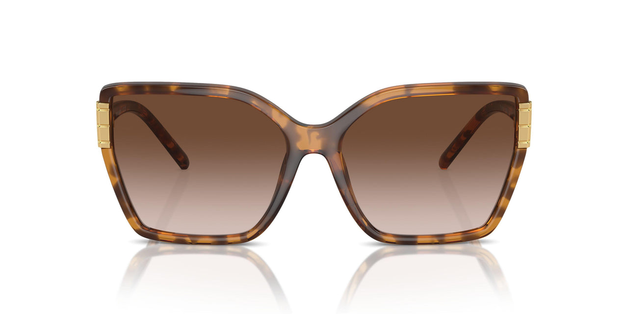 199213 - Tortoise - Light Brown Gradient