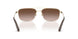 110913 - Gold - Brown Gradient