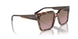 314514 - Pink - Pink Gradient Brown