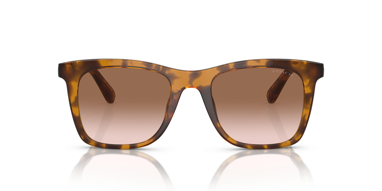 512013 - Tortoise - Brown Pink Gradient