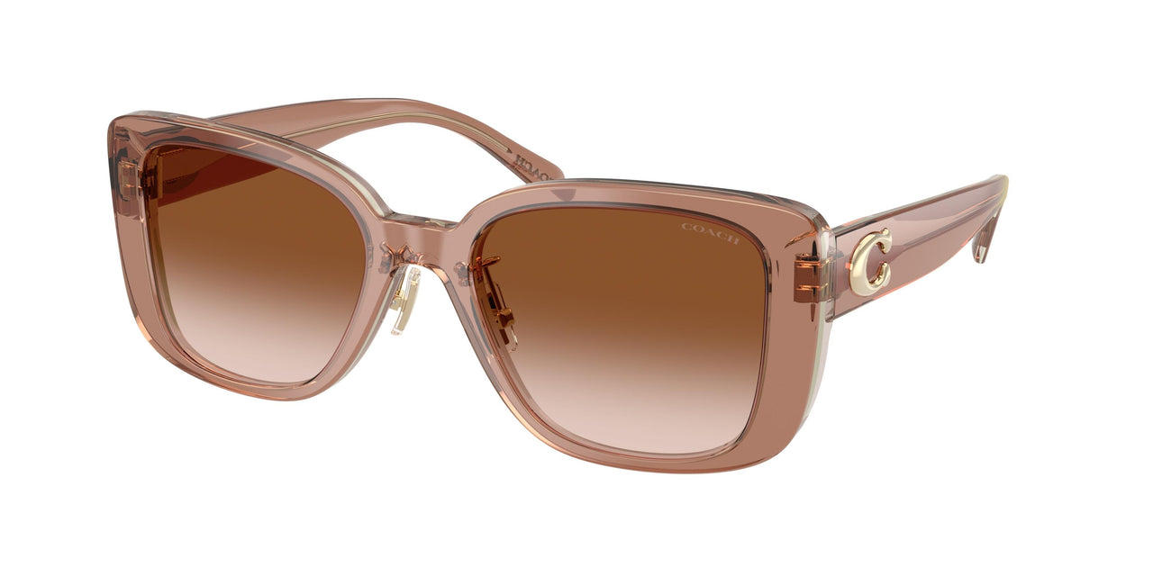 Coach Cd472 8352 Sunglasses