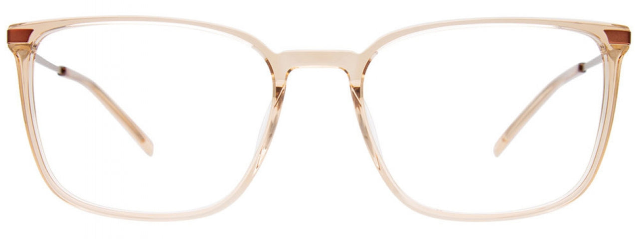 10 - Transparent Beige
