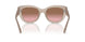299014 - Brown - Pink Gradient Brown