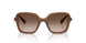 106713 - Brown - Brown Gradient