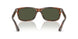 108/31 - Tortoise - Green
