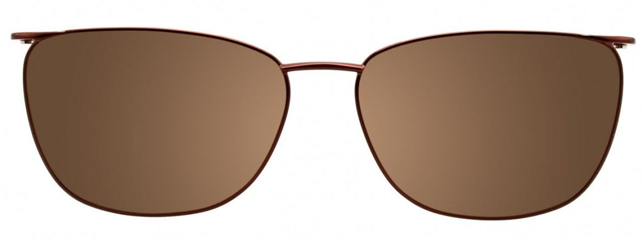 10 - Stn Brown/Dark Chocolate