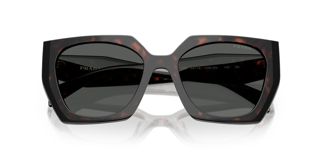 24B40L - Tortoise - Dark Grey