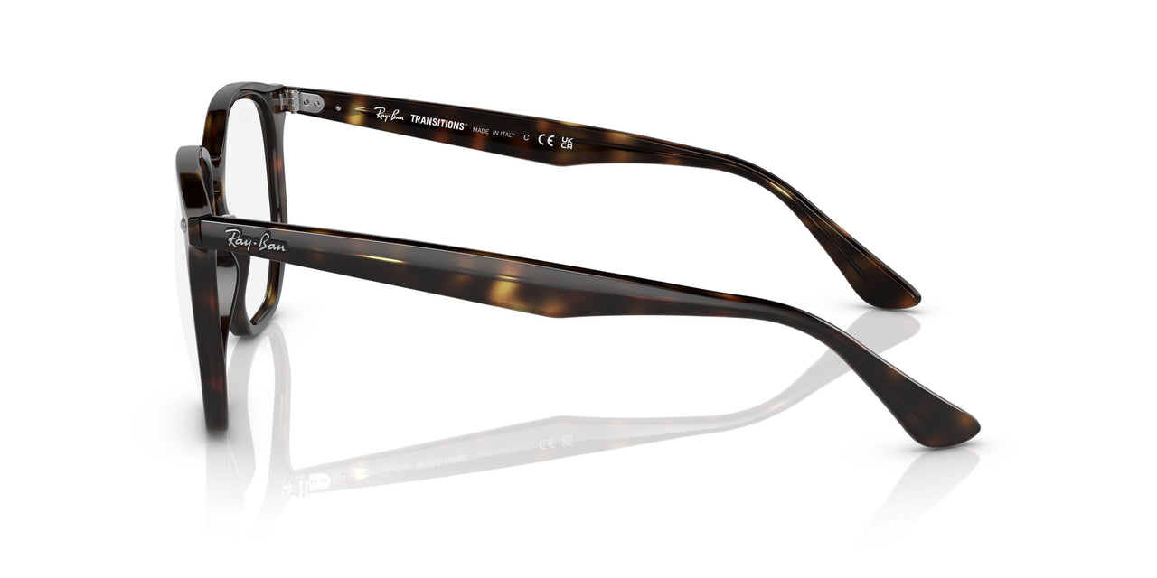 710/M1 - Havana - Photo Clear To Grey/green Quar