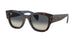 Ray-Ban Jorge 7681SF Sunglasses