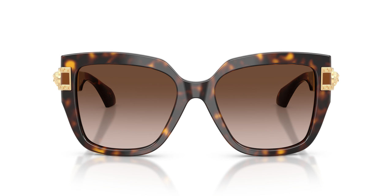 108/13 - Brown - Brown Gradient
