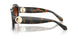 647874 - Tortoise - Brown Gradient