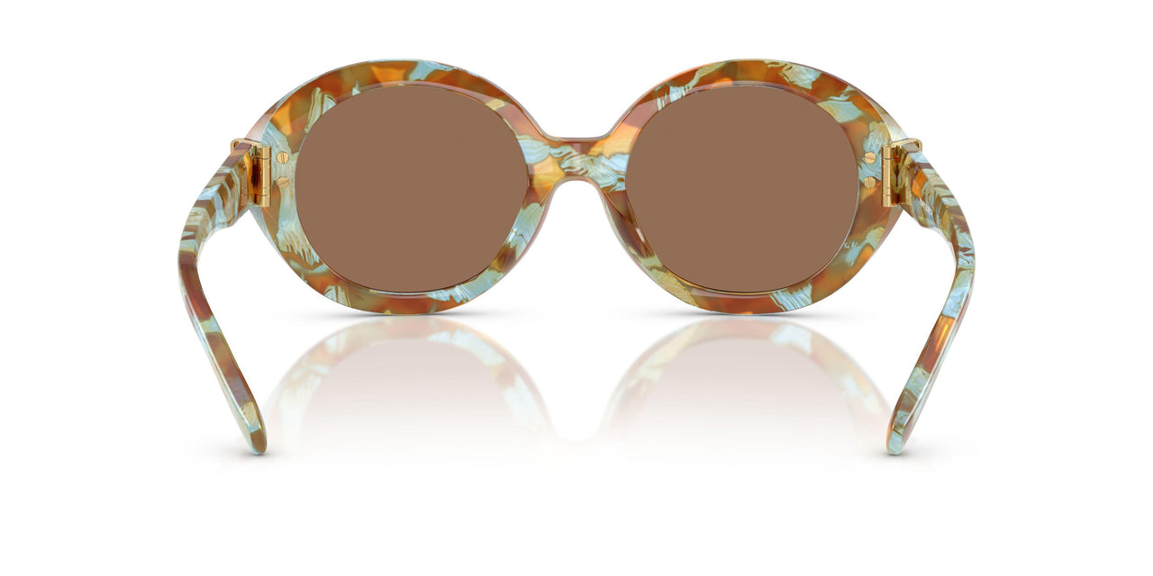 201773 - Tortoise - Dark Brown