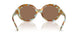 201773 - Tortoise - Dark Brown