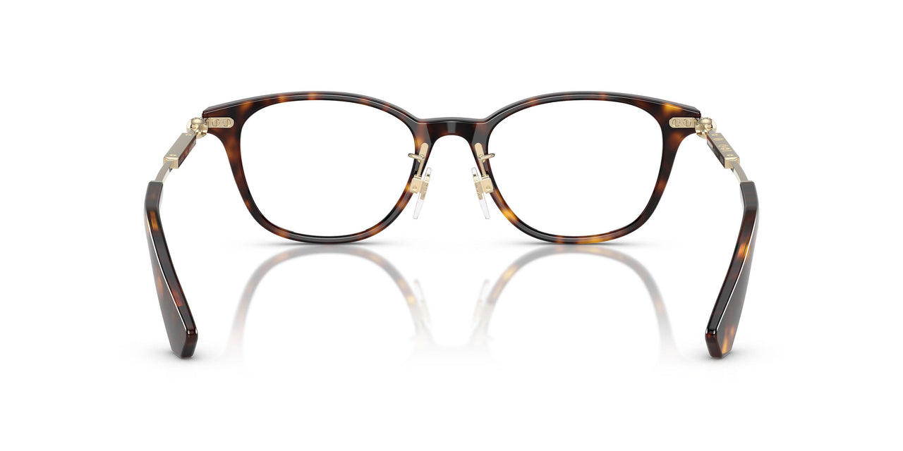 3002 - Brown