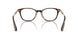 3002 - Brown