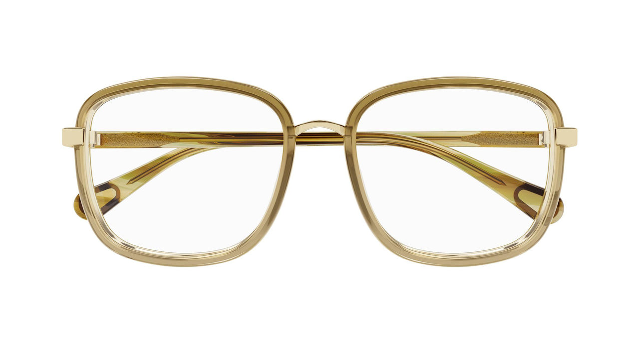 002 - Brown/Orange - Transparent