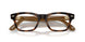 6928M4 - Tortoise - Clear/brown