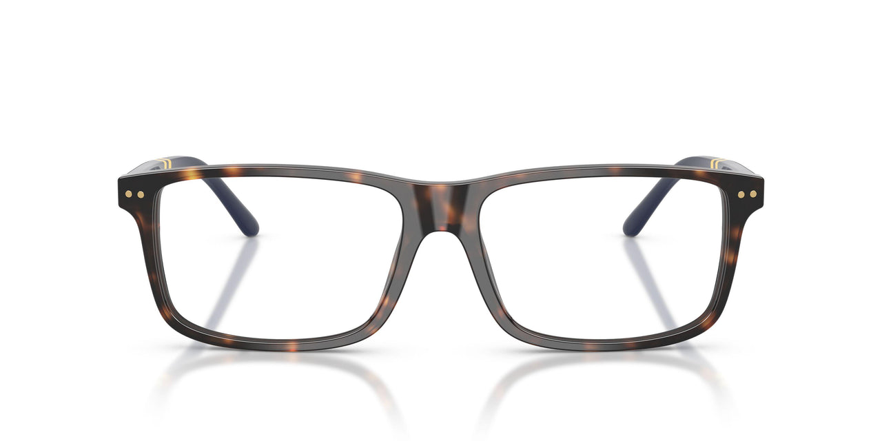 5003 - Tortoise