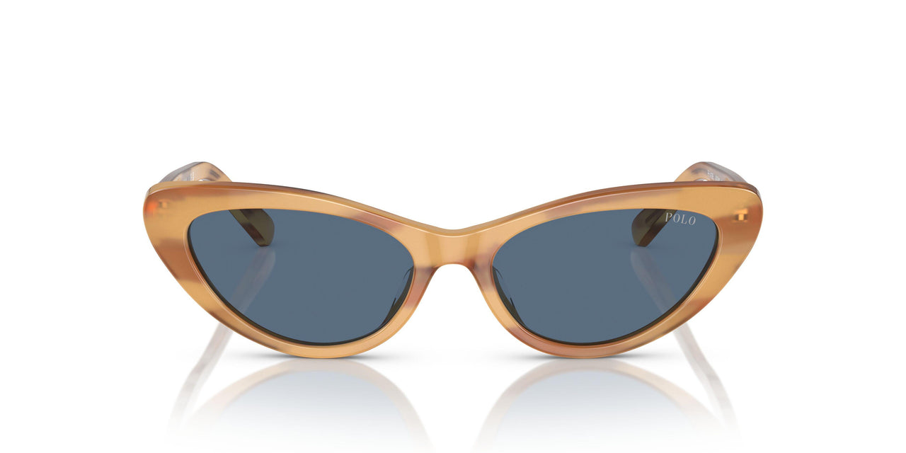 607980 - Brown - Blue