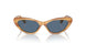 607980 - Brown - Blue