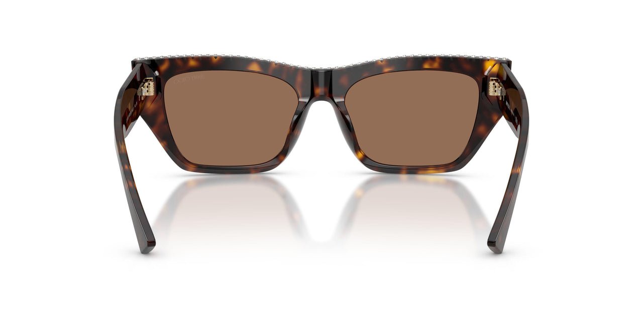 500273 - Tortoise - Dark Brown