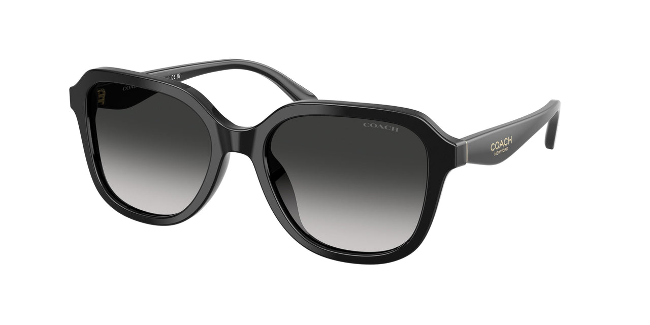 Coach Cby89 8437F Sunglasses