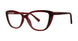 Modern Times RANDOM Eyeglasses