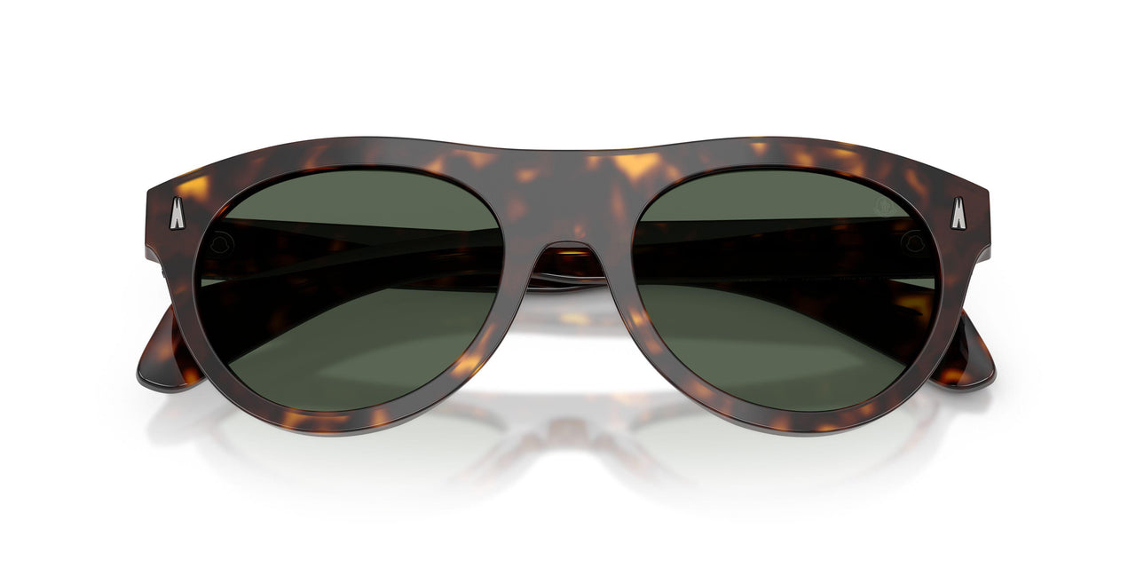 300271 - Tortoise - Solid Dark Green