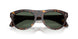 300271 - Tortoise - Solid Dark Green