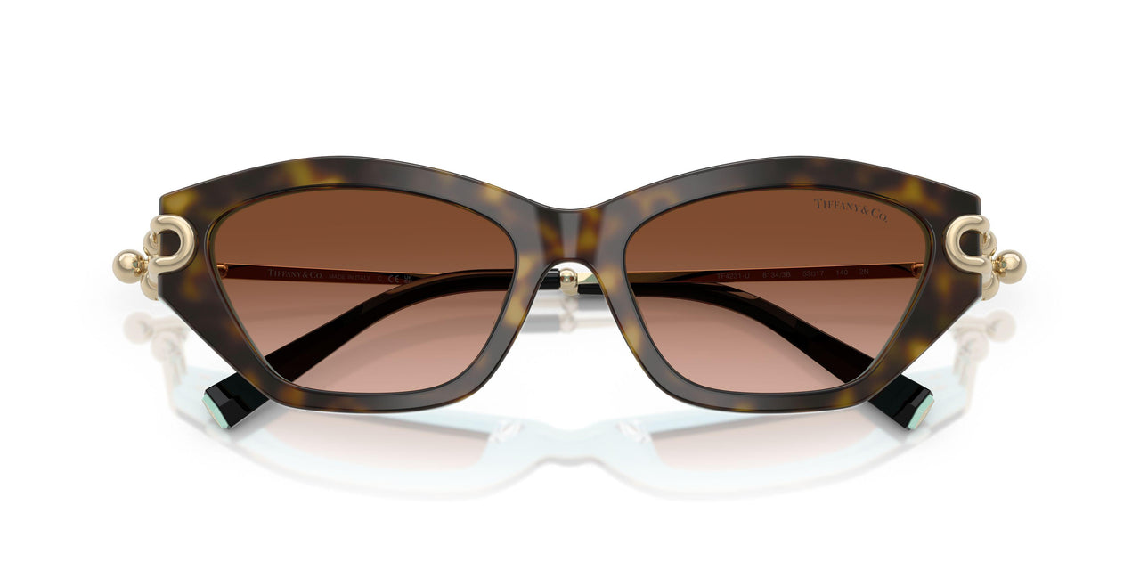 81343B - Brown - Brown Gradient
